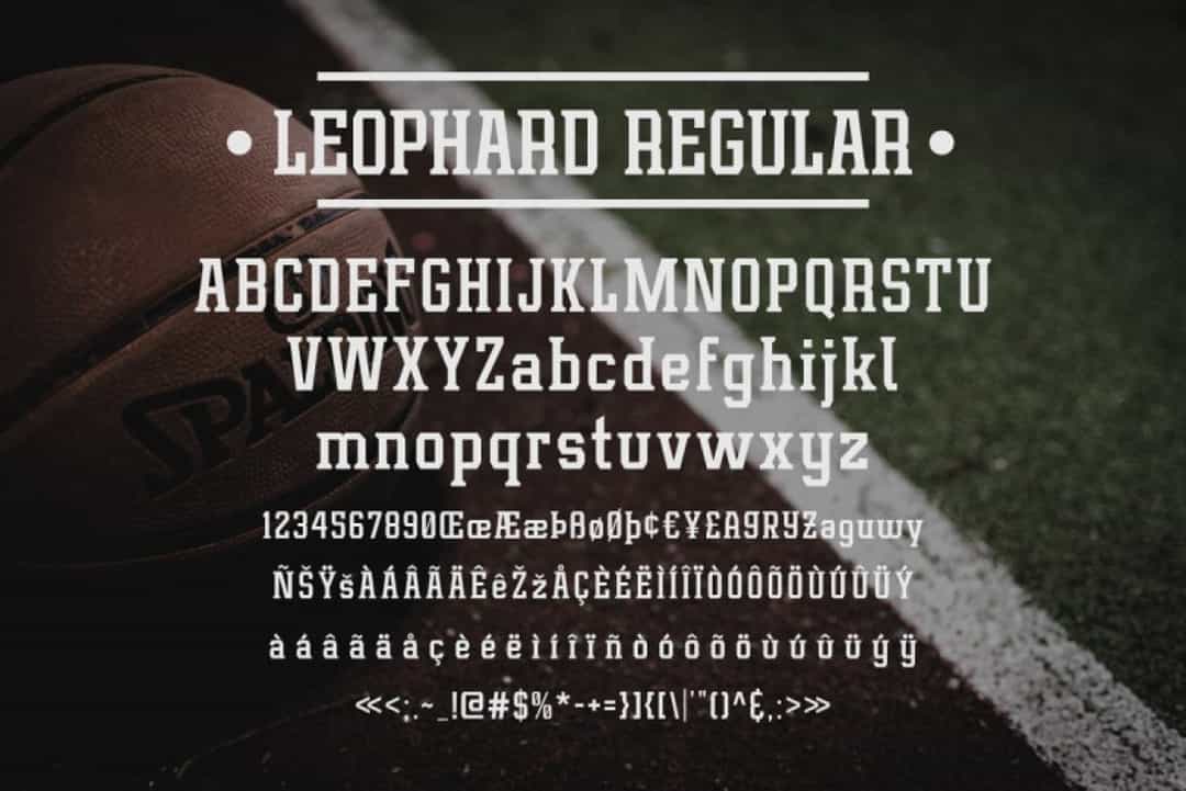 Leophard Font Family Image 3