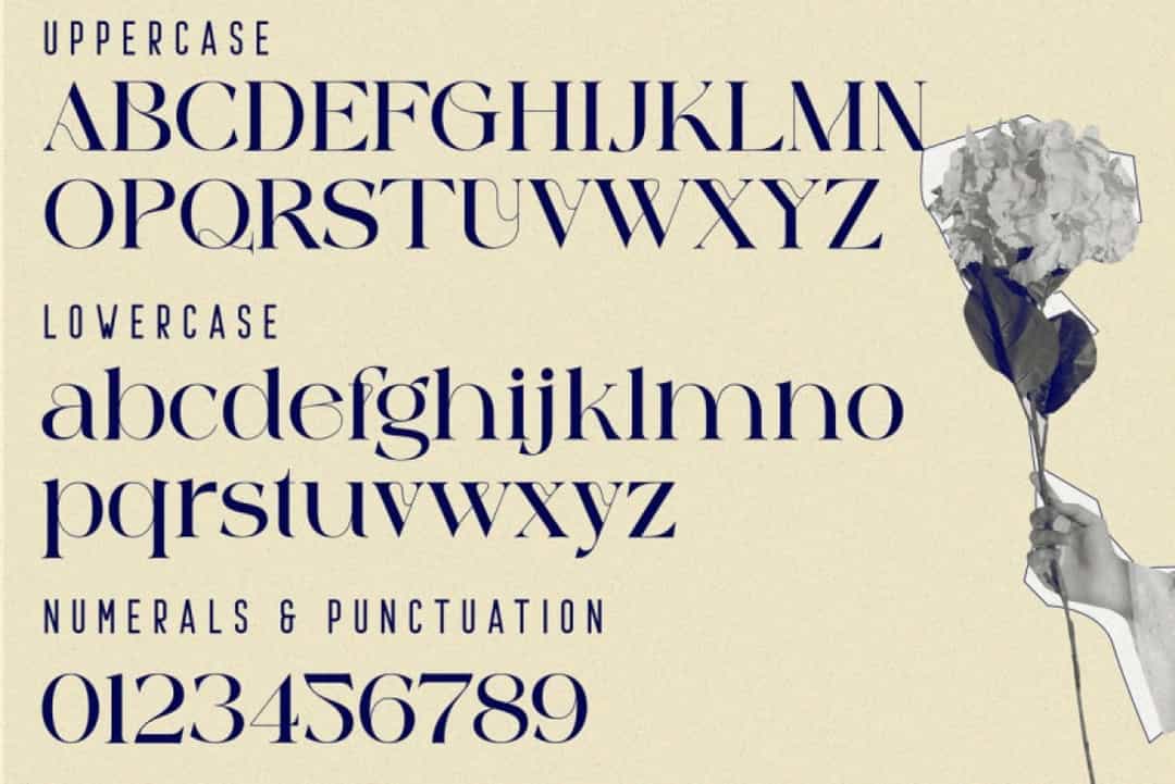 Against Font Image 3