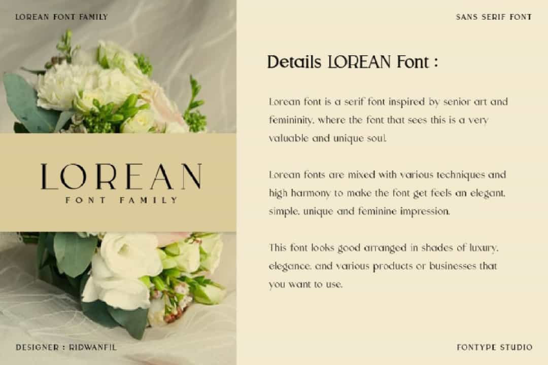 Lorean Font Image 3