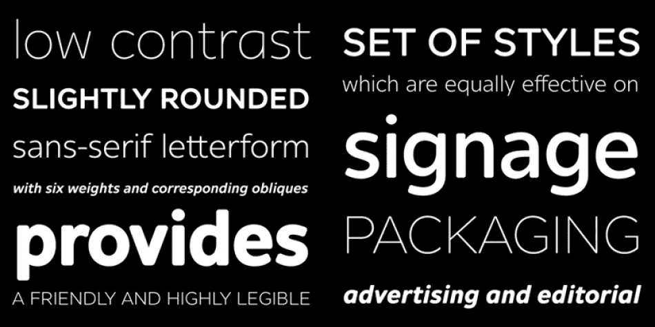 Alleyn Pro Font Family Image 2