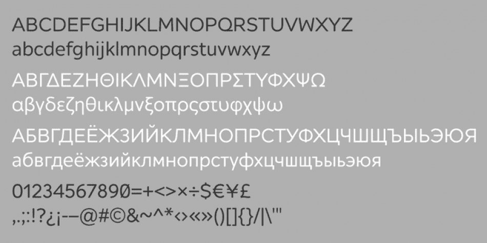 Alleyn Pro Font Family Image 3