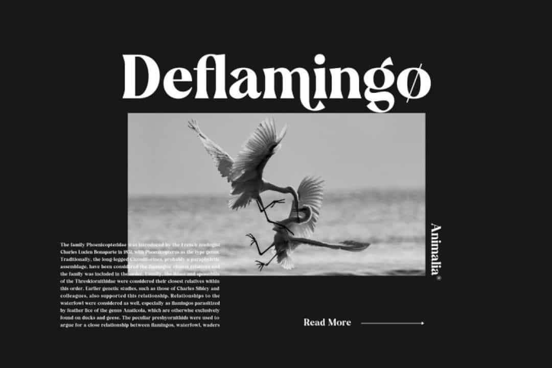 Cramble Font Image 2