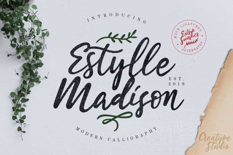 Estylle Madison Script Font Image 1