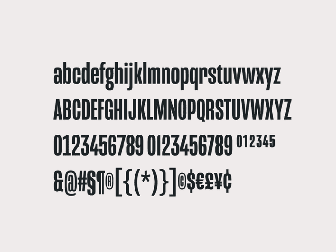 Mongoose Font Family Image 3