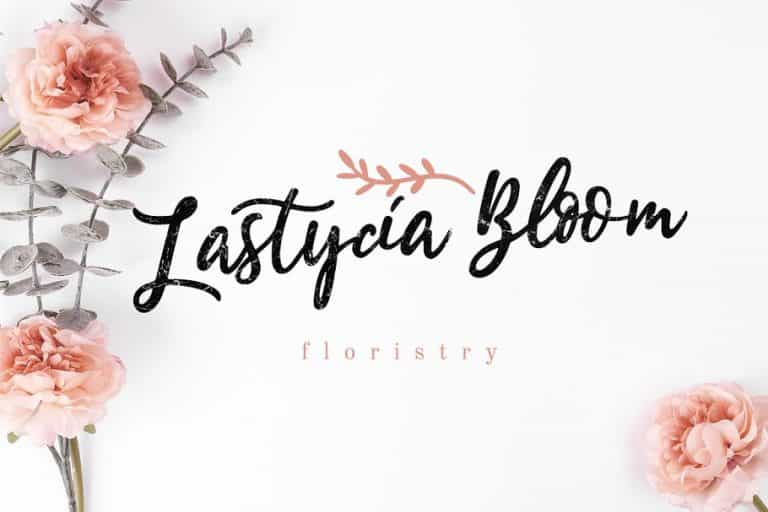 Estylle Madison Script Font Image 2