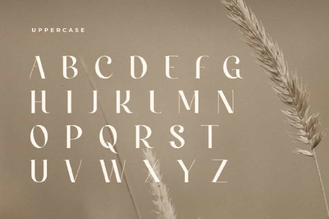 Caramel Font Image 2