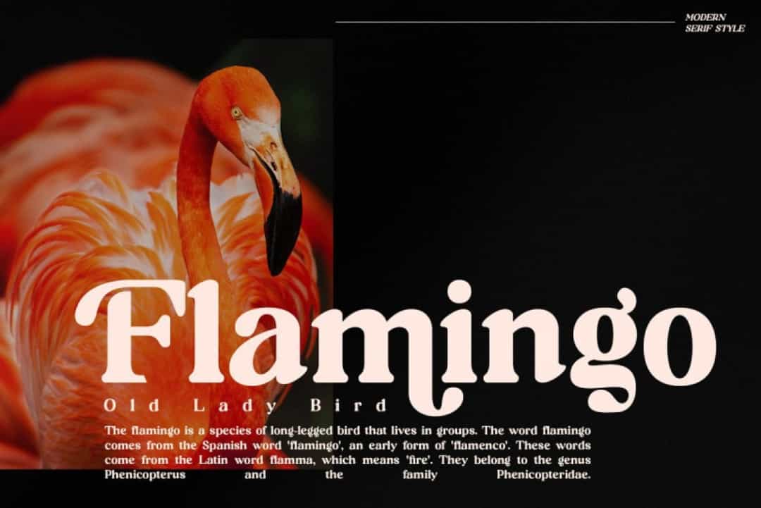Richard Samuels Font Image 2