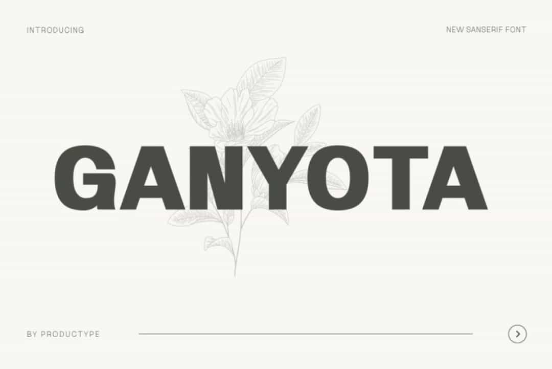 Ganyota Font Family Image 1