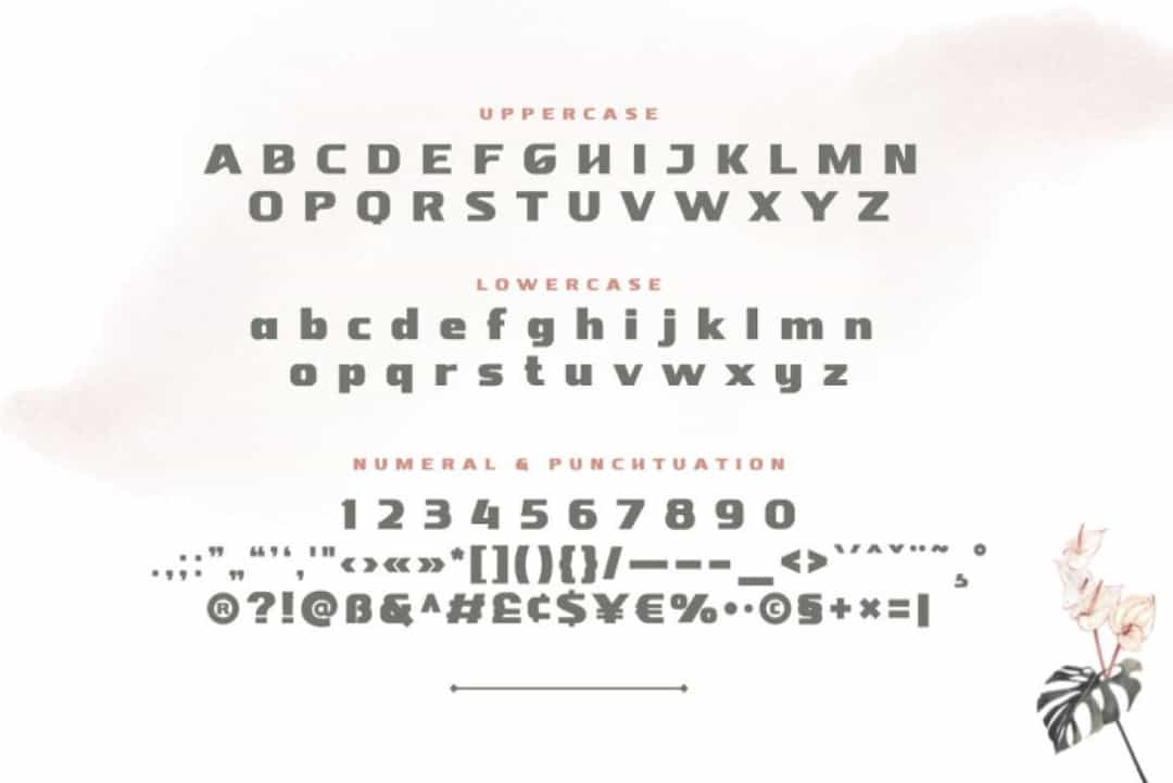 Nebora Font Image 3