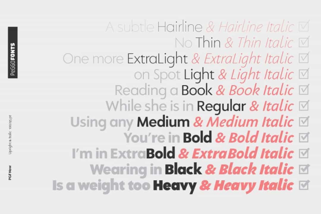 PGF Now Font Image 2