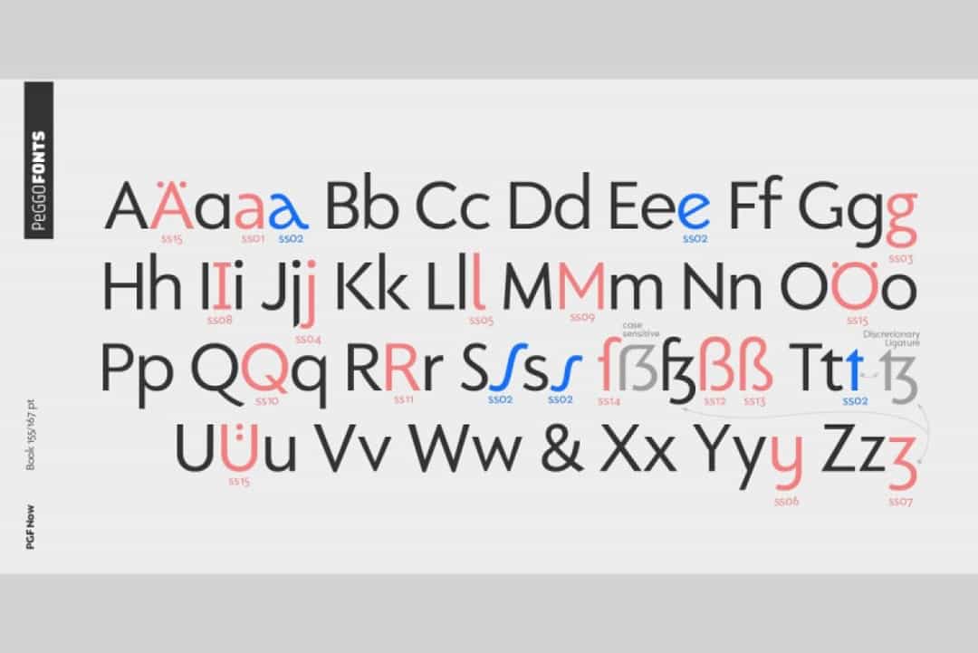 PGF Now Font Image 3