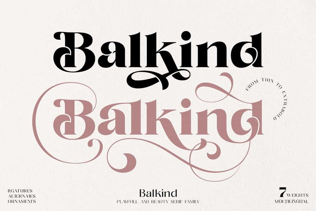 Balkind Serif Font Image 1