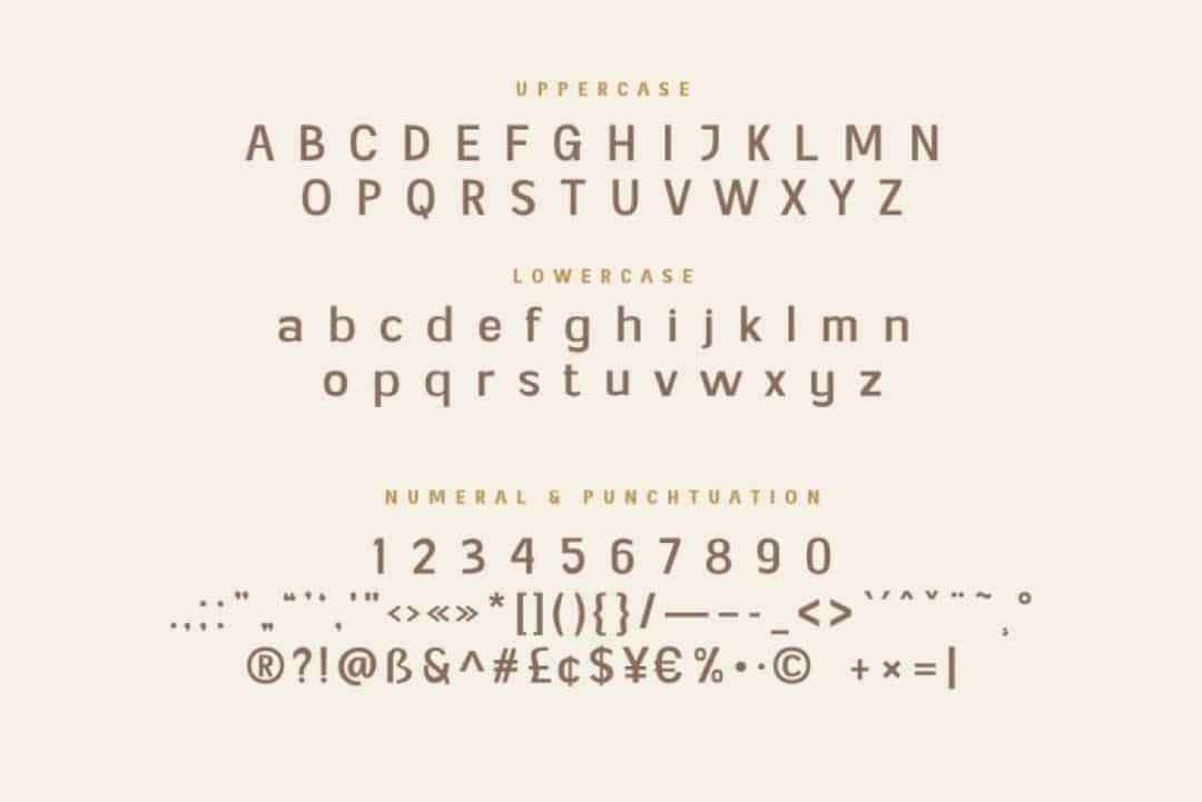 Genia Font Family Image 3