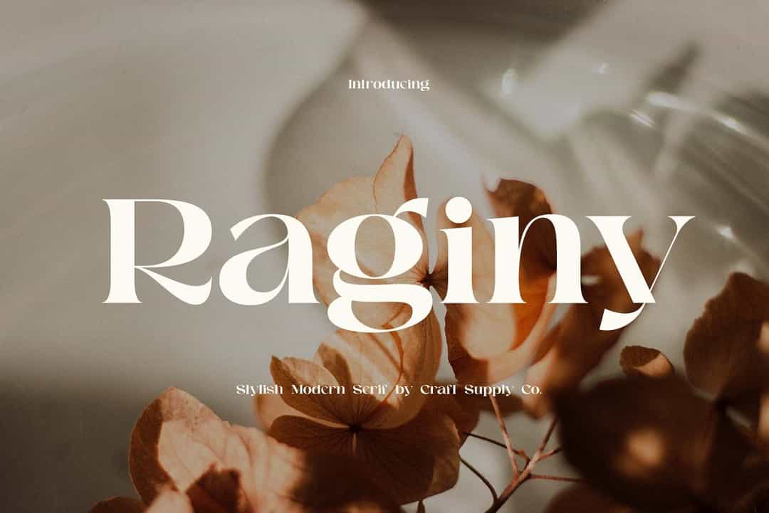 Raginy Font Image 1