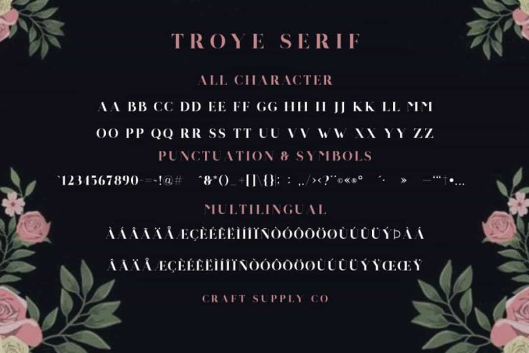 Troye Font Image 2