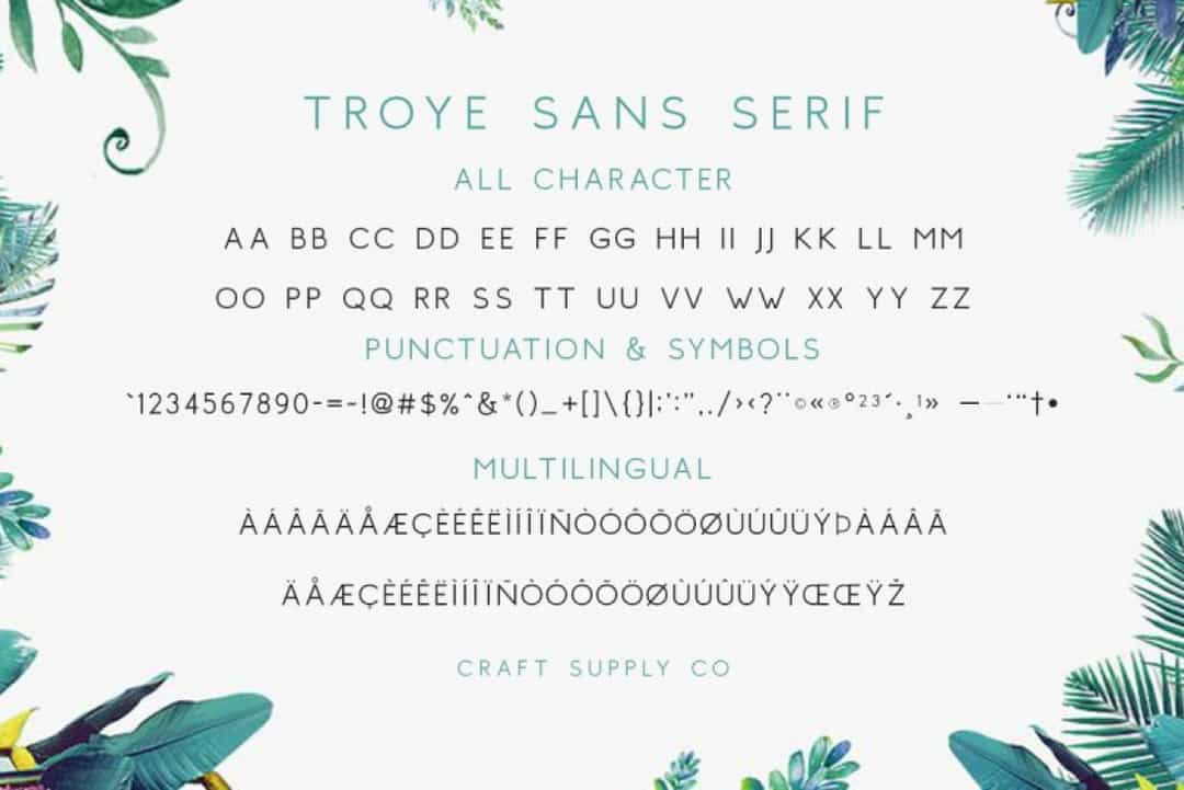 Troye Font Image 3
