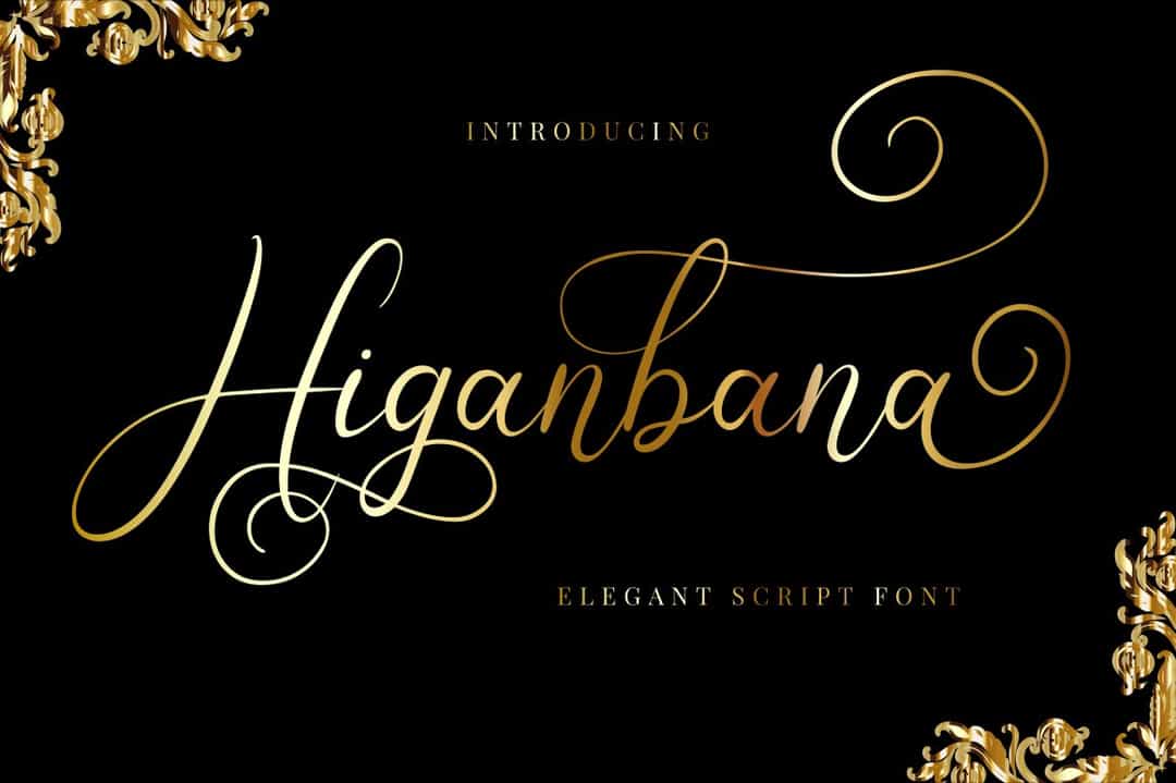 Higanbana Font Image 1