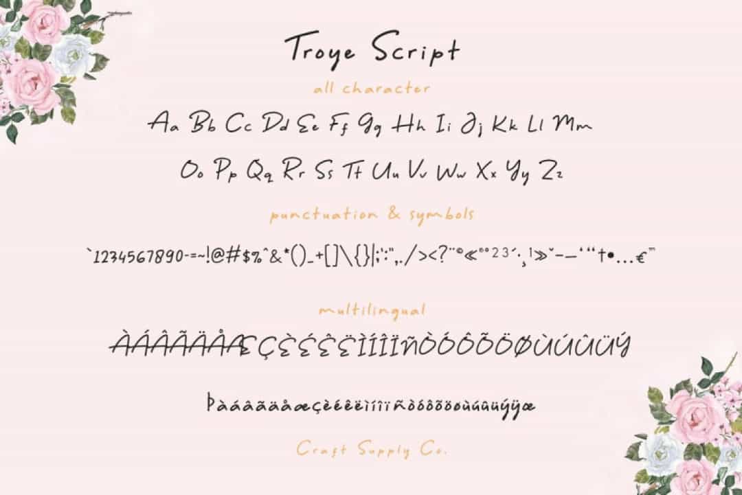 Troye Font Image 4