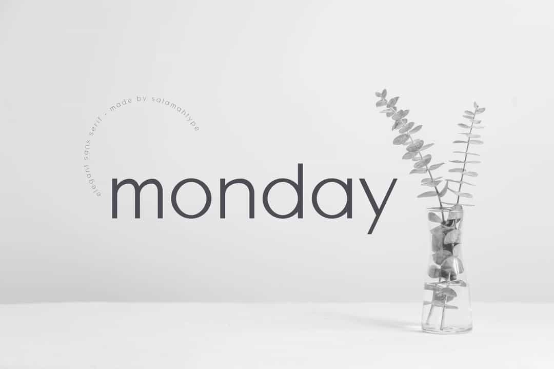 Monday Sans Font Image 1