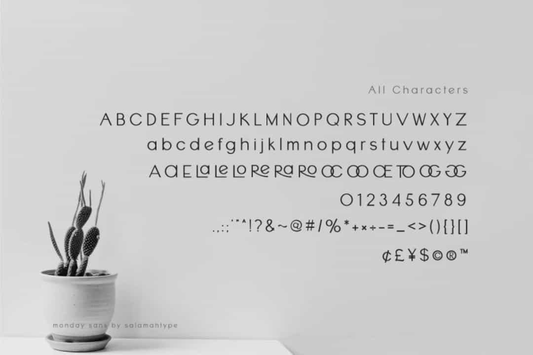 Monday Sans Font Image 3