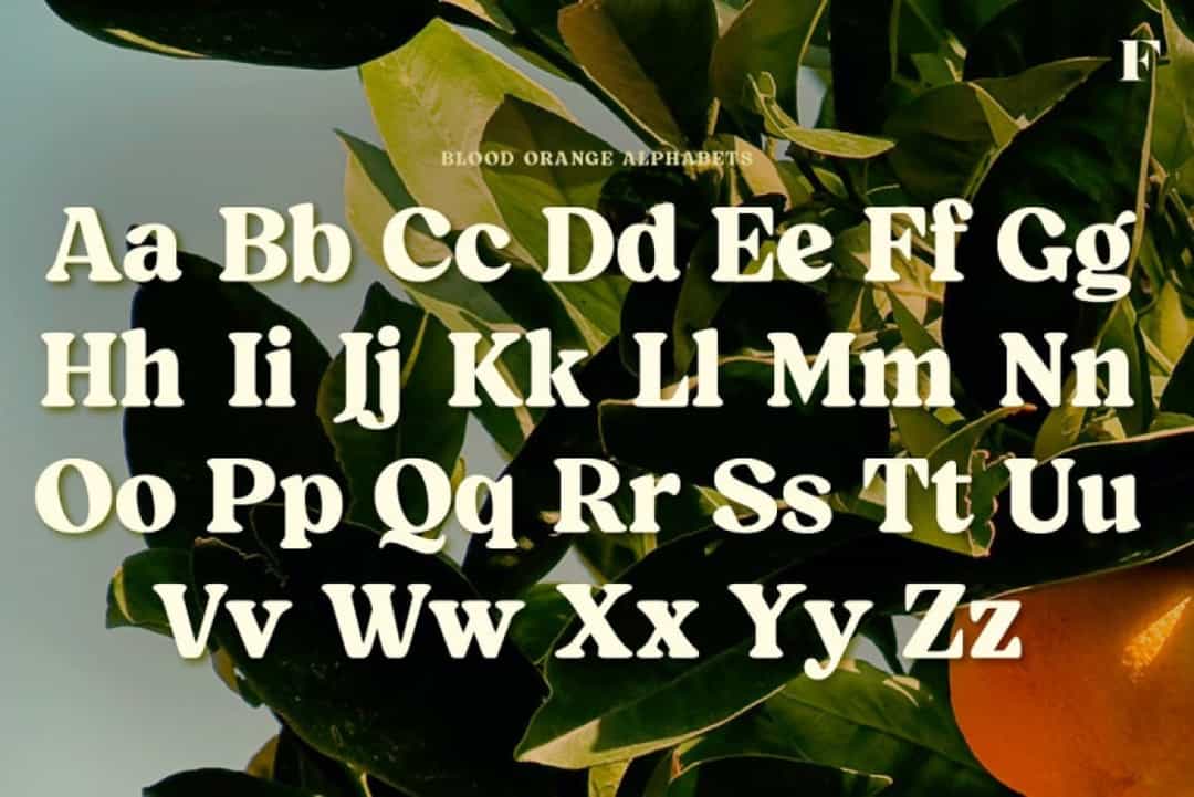 Blood Orange Font Image 3