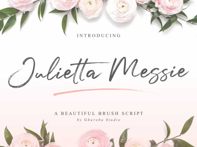 Julietta Messie Brush Script Font Image 1