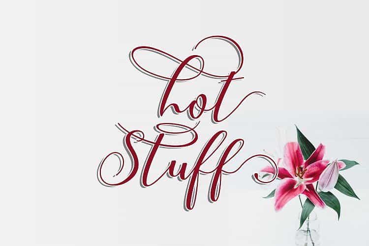 Callme Script Font Image 3