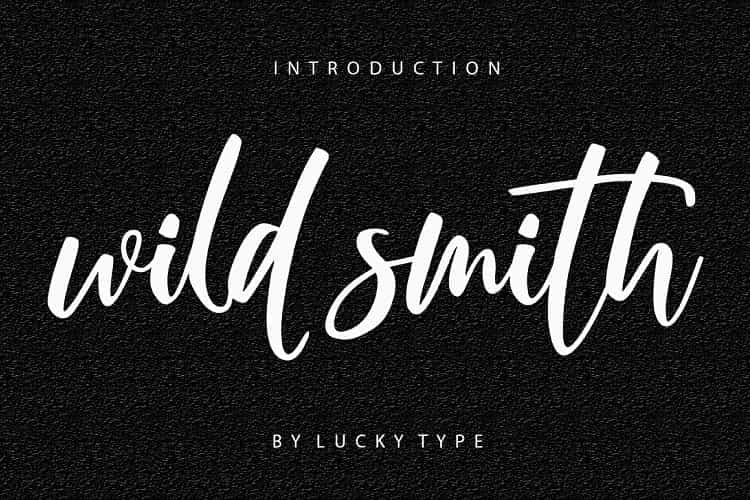 Wild Smith Modern Script Font Image 1