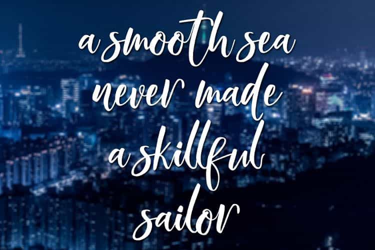 Wild Smith Modern Script Font Image 3