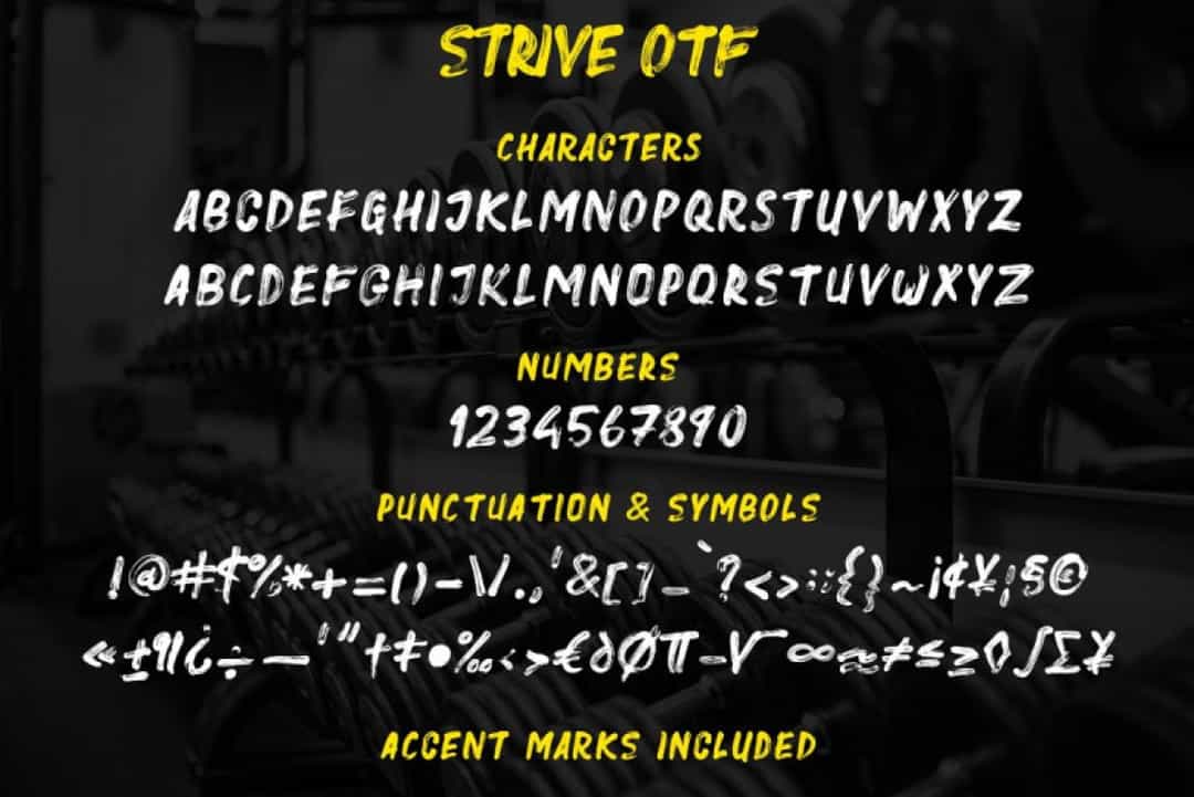 Strive Font Image 3
