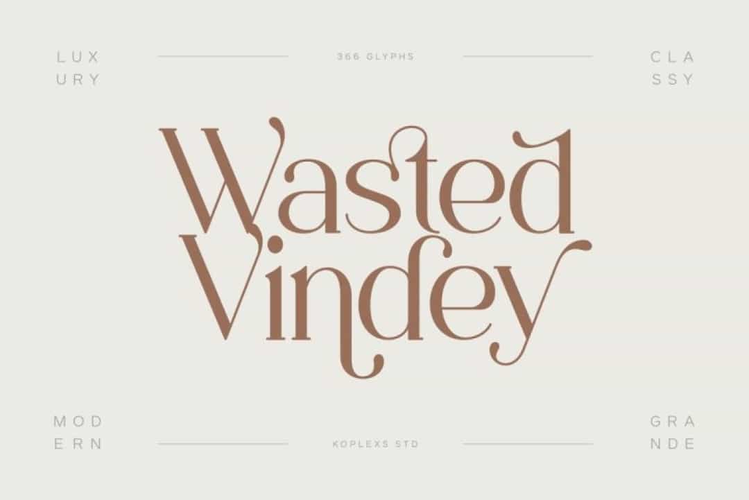 Wasted Vindey Font Image 1