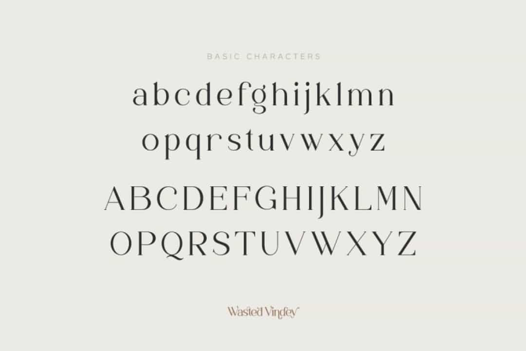 Wasted Vindey Font Image 2
