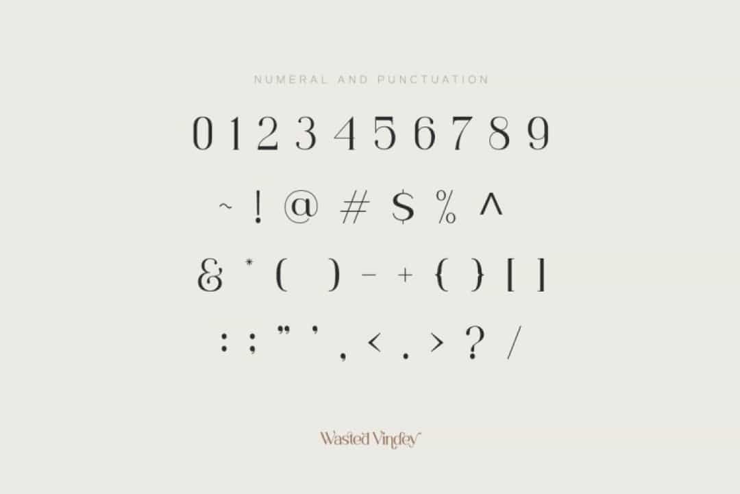 Wasted Vindey Font Image 3