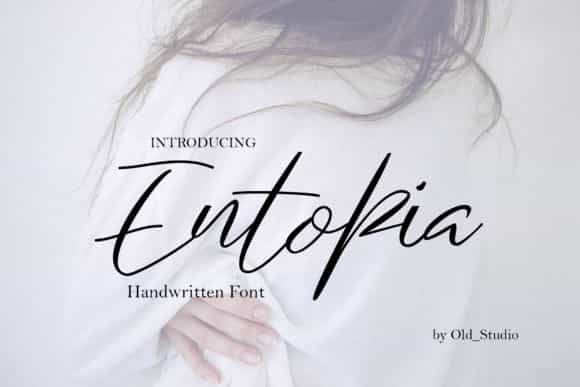 Entopia Script Font Image 1