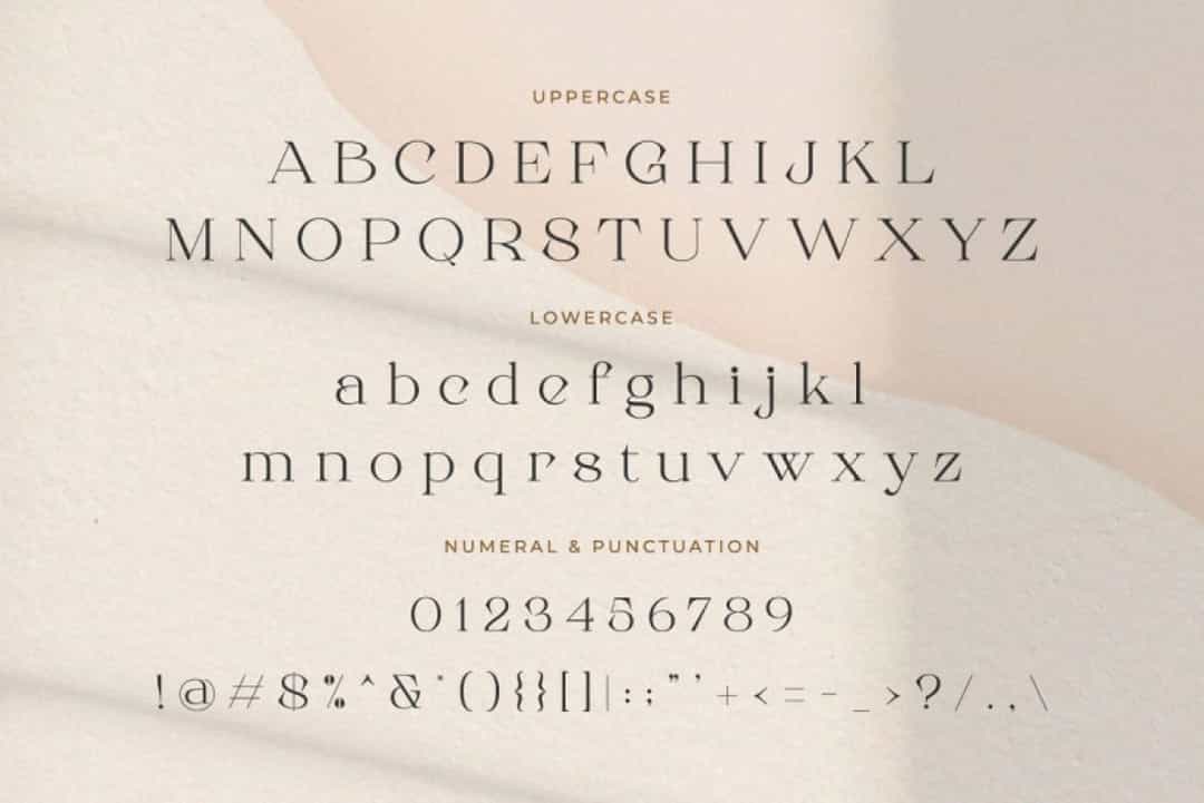 Roman Sophisticated Font Image 2