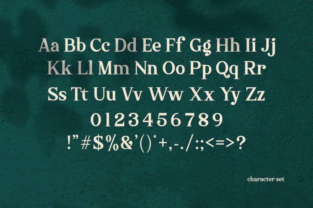 Sharon Font Image 3
