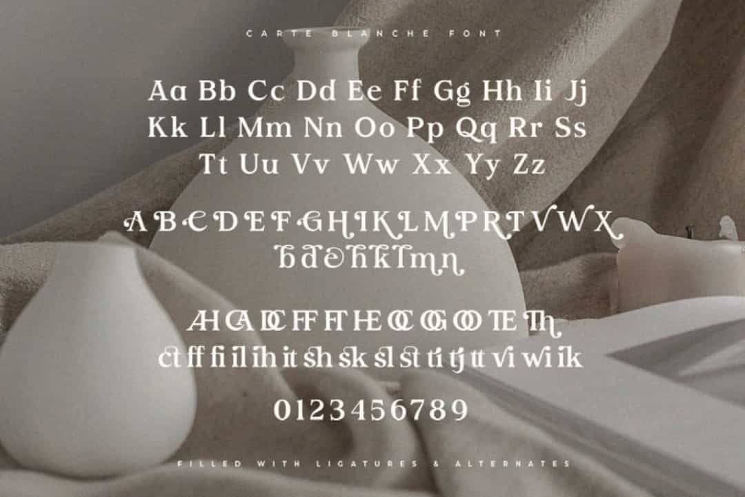 Carte Blanche Font Image 3