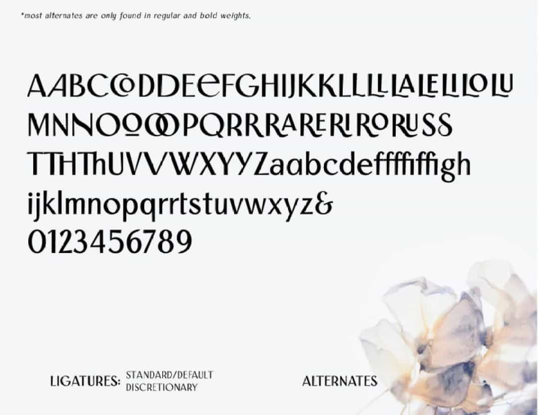 Saphion Font Image 3