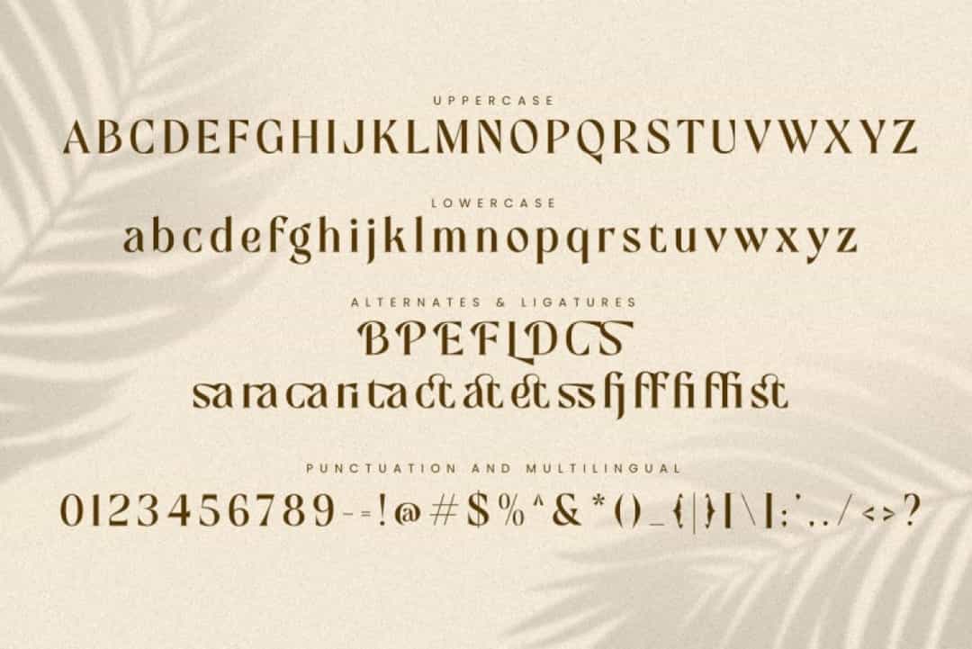 Mofista Font Image 3