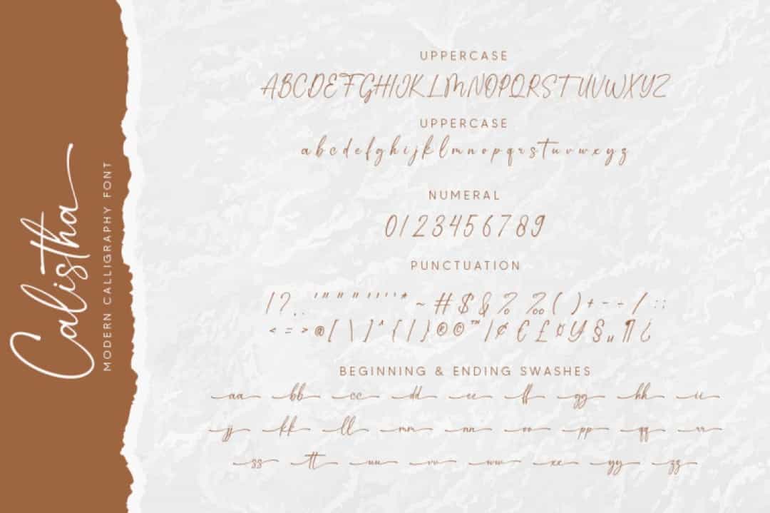 Calistha Font Image 3