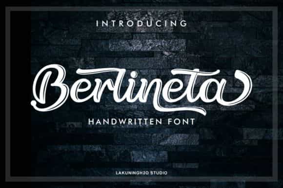 Berlineta Script Font Image 1