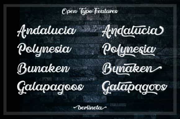Berlineta Script Font Image 2