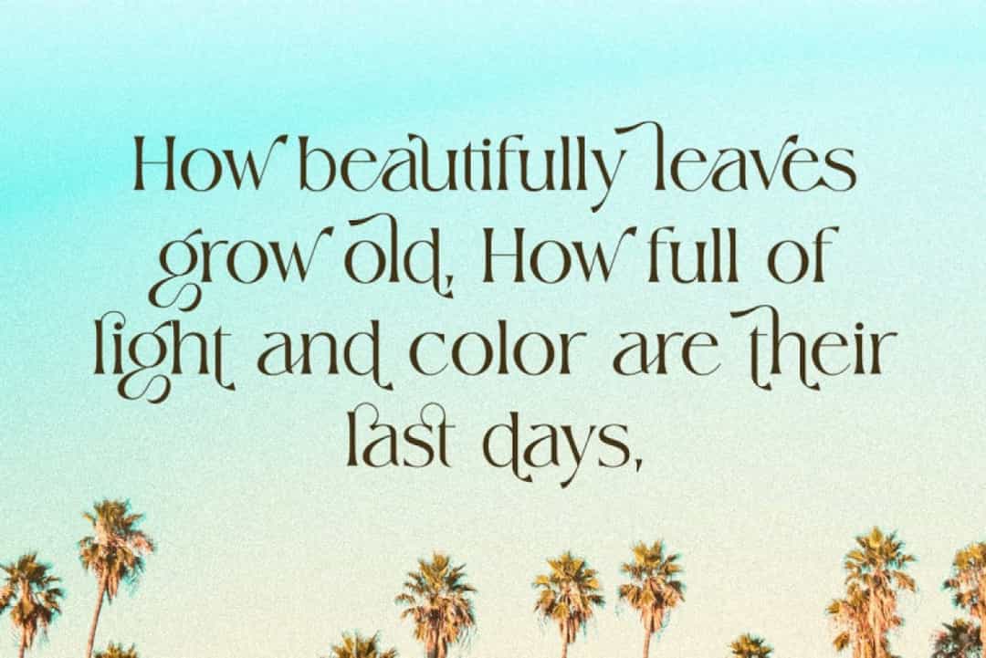 Wisteria Font Image 2