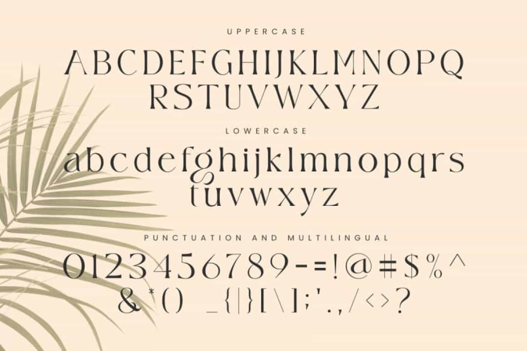 Wisteria Font Image 3