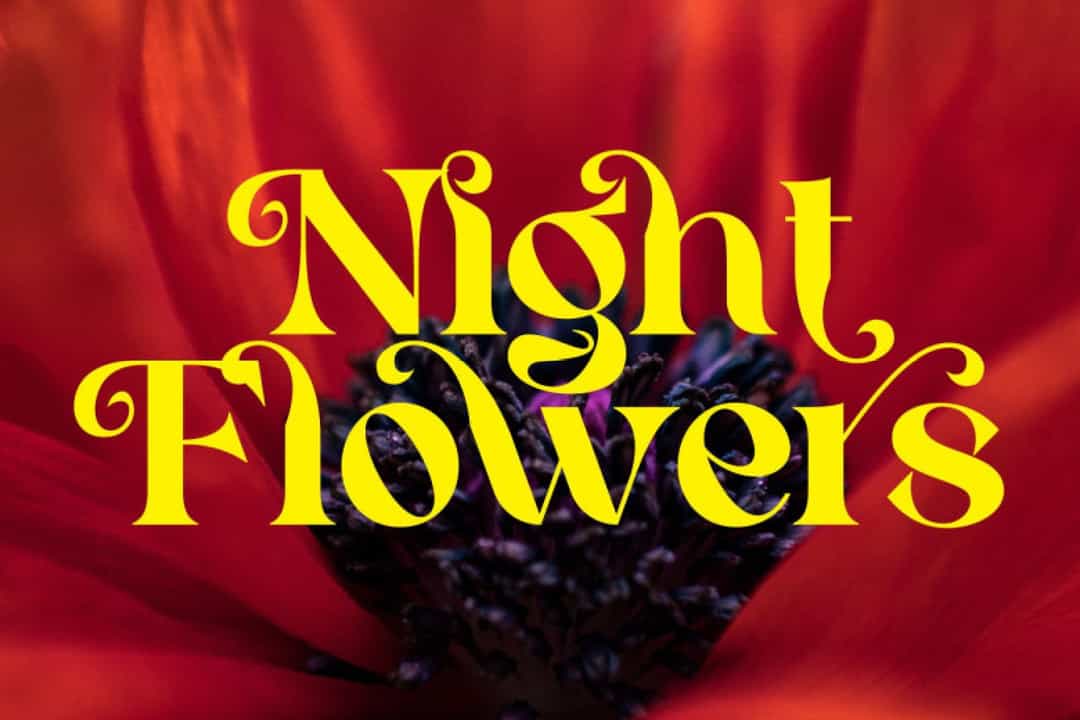 Cehua Font Image 3