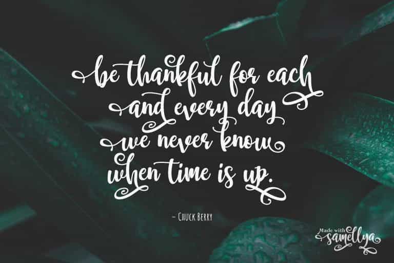 Samellya Script Font Image 2