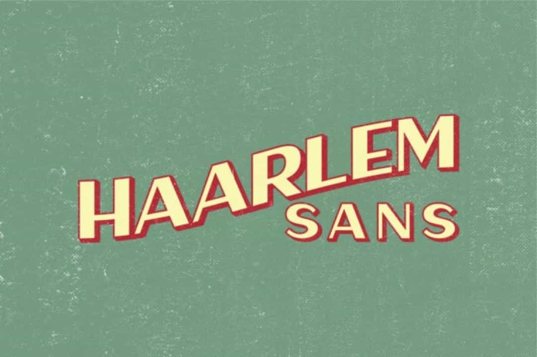 Haarlem Sans Font Image 1