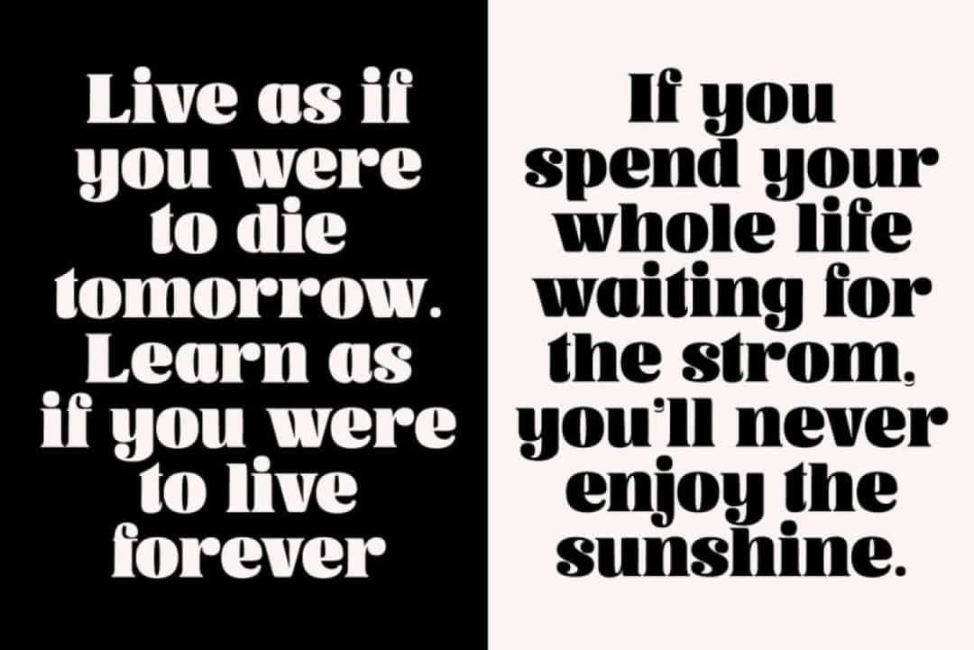 Canbera Font Image 3