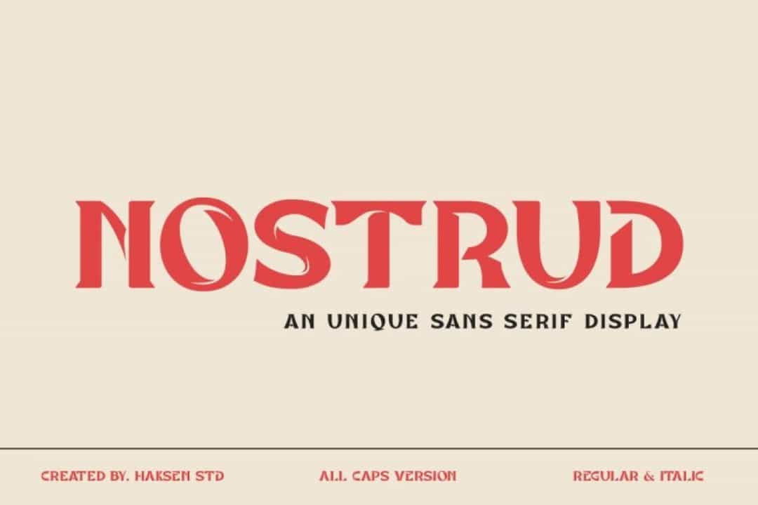 Nostrud Font Image 1