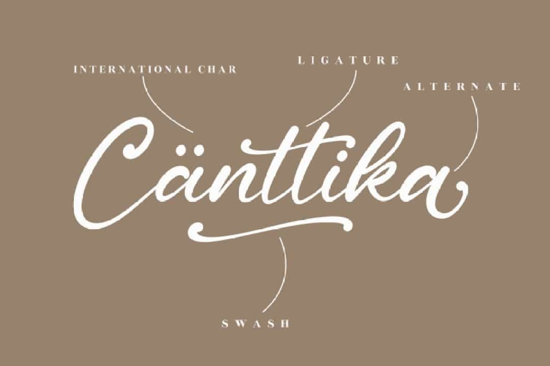 Cantika Sarah Font Image 2